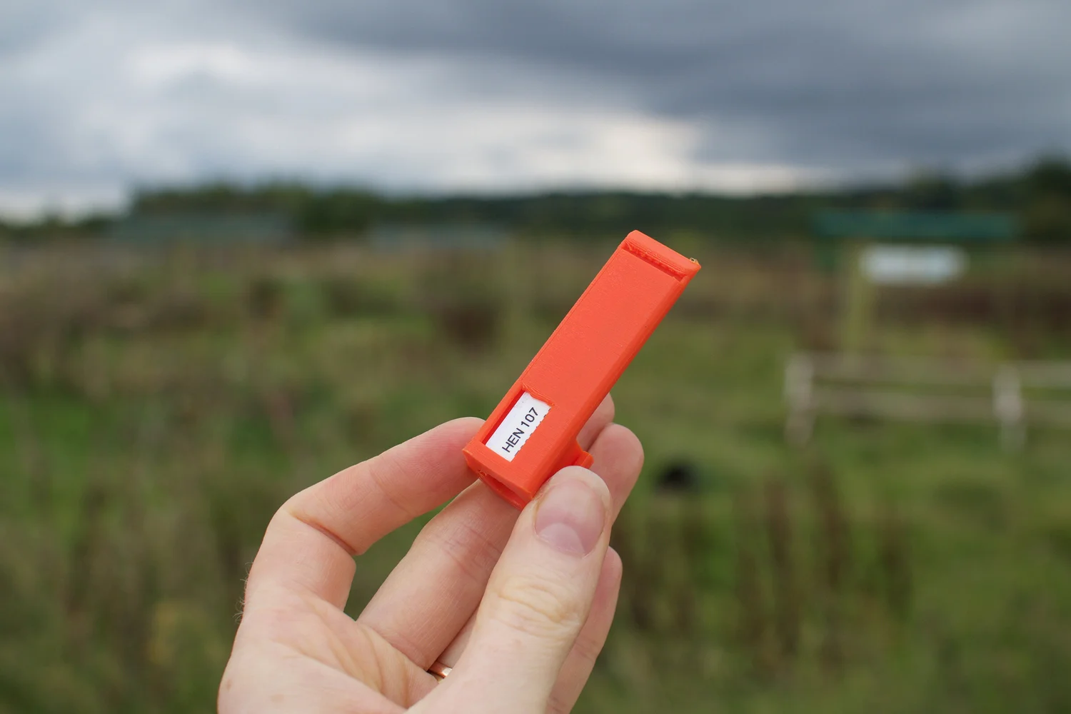 A hand holding a bright orange prototype hen identification tag, labelled HEN 101, at FAI Farms.